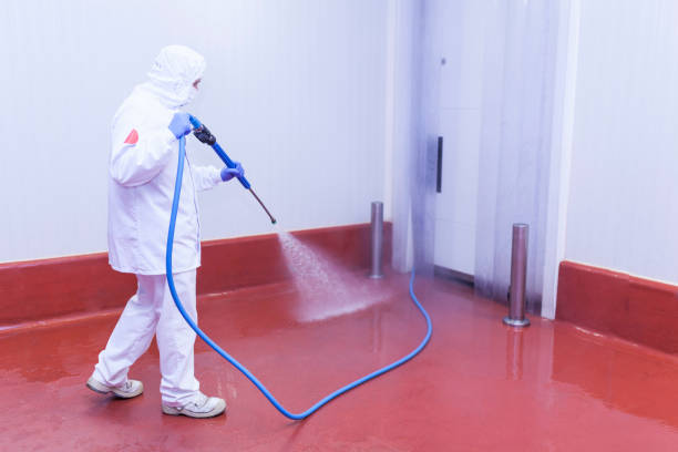 Best Dumpster Area Cleaning  in Boutte, LA